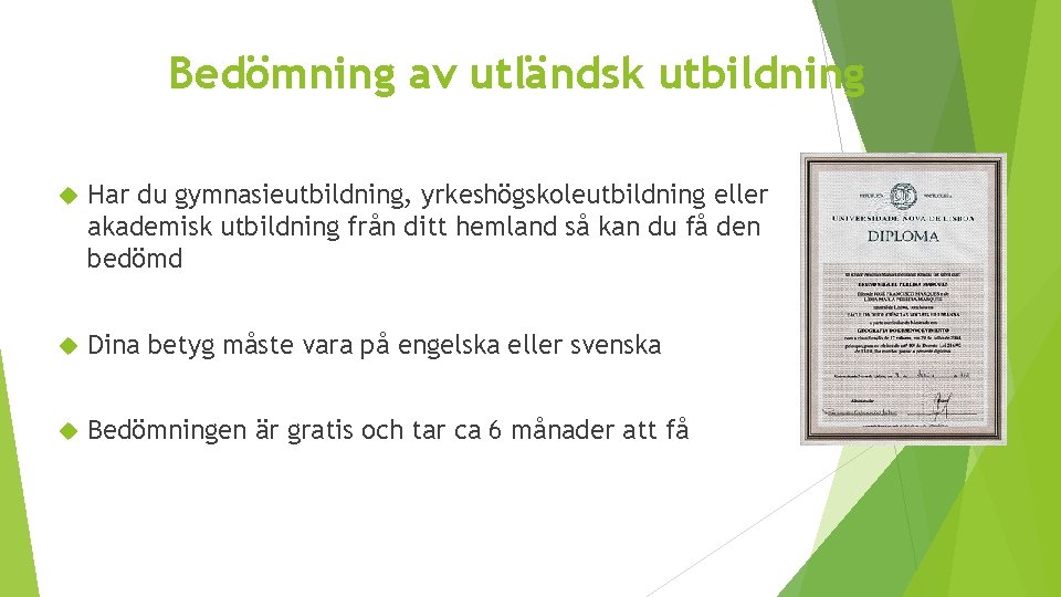 Bedömning av utländsk utbildning Har du gymnasieutbildning, yrkeshögskoleutbildning eller akademisk utbildning från ditt hemland