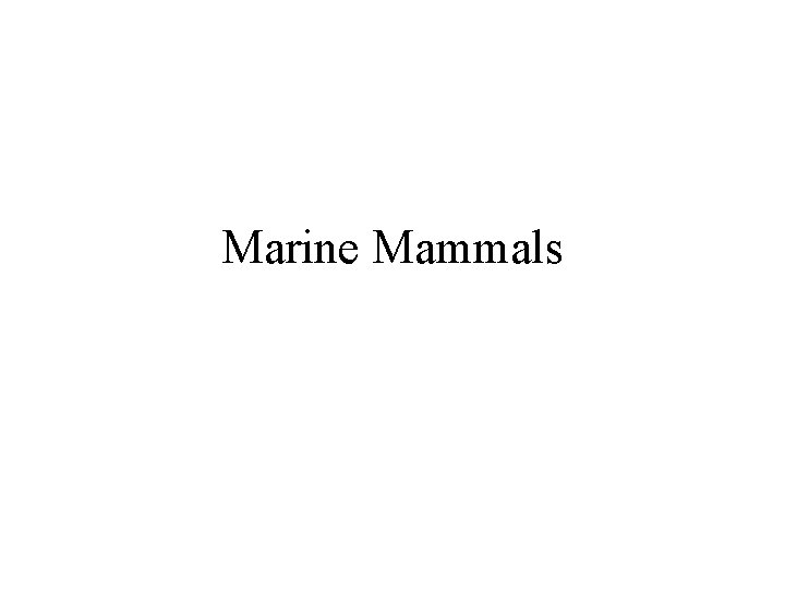 Marine Mammals 