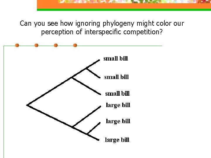 Can you see how ignoring phylogeny might color our perception of interspecific competition? 