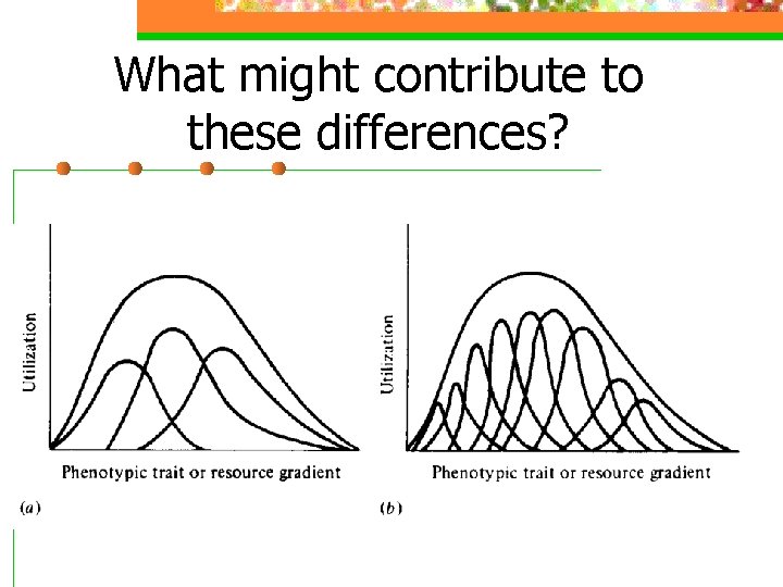 What might contribute to these differences? 