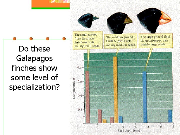 Do these Galapagos finches show some level of specialization? 