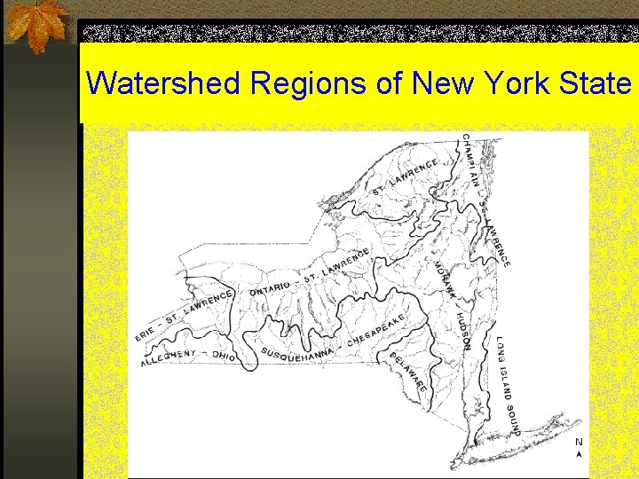 Watershed Regions of New York State 