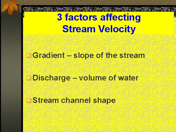 3 factors affecting Stream Velocity q Gradient – slope of the stream q Discharge