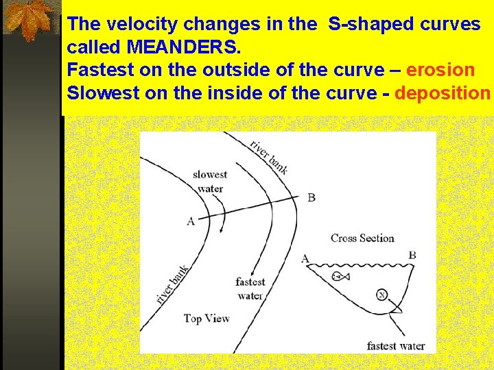 The velocity changes in the S-shaped curves called MEANDERS. Fastest on the outside of