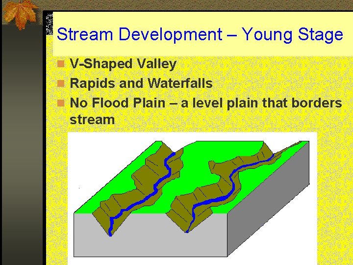 Stream Development – Young Stage n V-Shaped Valley n Rapids and Waterfalls n No