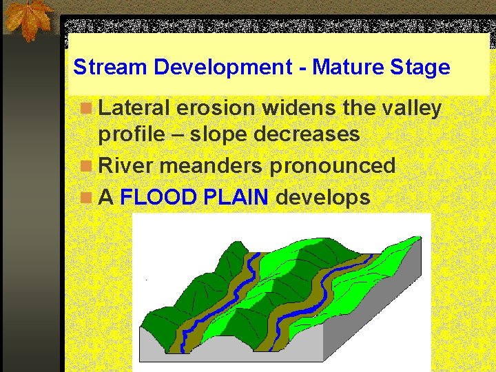 Stream Development - Mature Stage n Lateral erosion widens the valley profile – slope