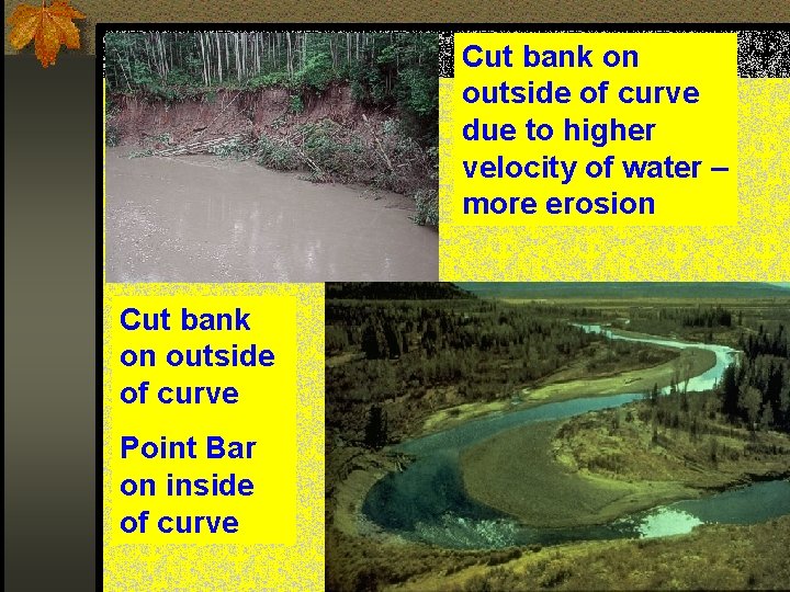 Cut bank on outside of curve due to higher velocity of water – more