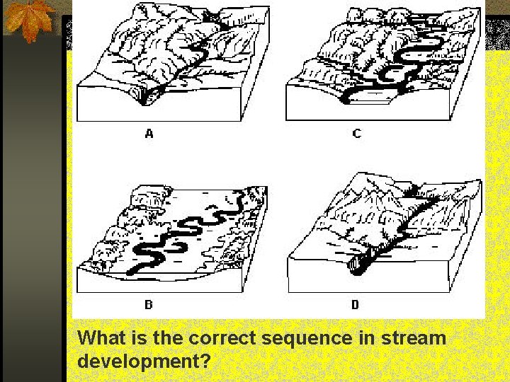 What is the correct sequence in stream development? 