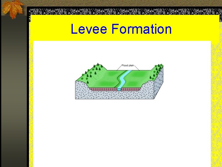 Levee Formation 