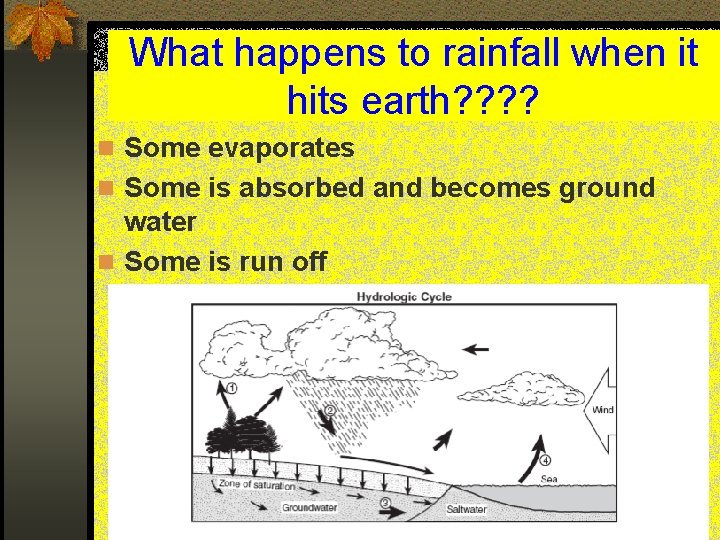 What happens to rainfall when it hits earth? ? n Some evaporates n Some