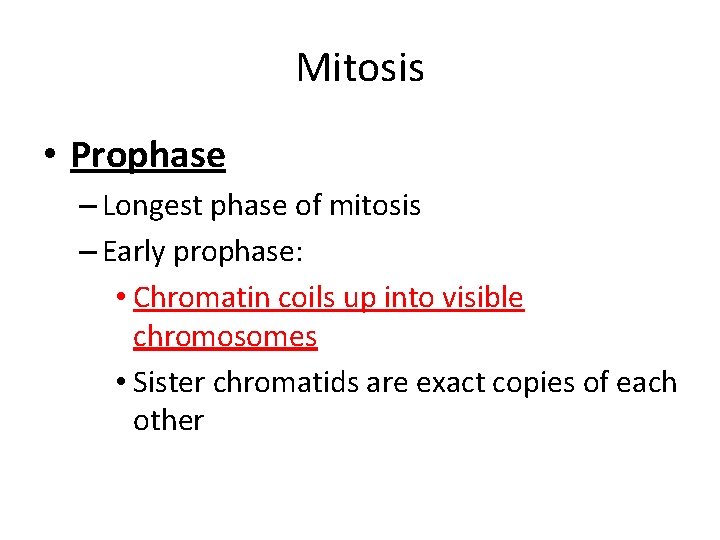 Mitosis • Prophase – Longest phase of mitosis – Early prophase: • Chromatin coils