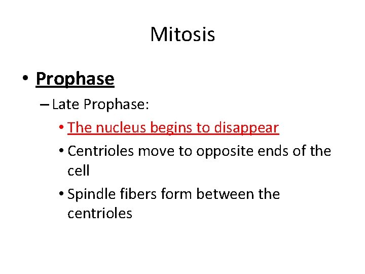 Mitosis • Prophase – Late Prophase: • The nucleus begins to disappear • Centrioles