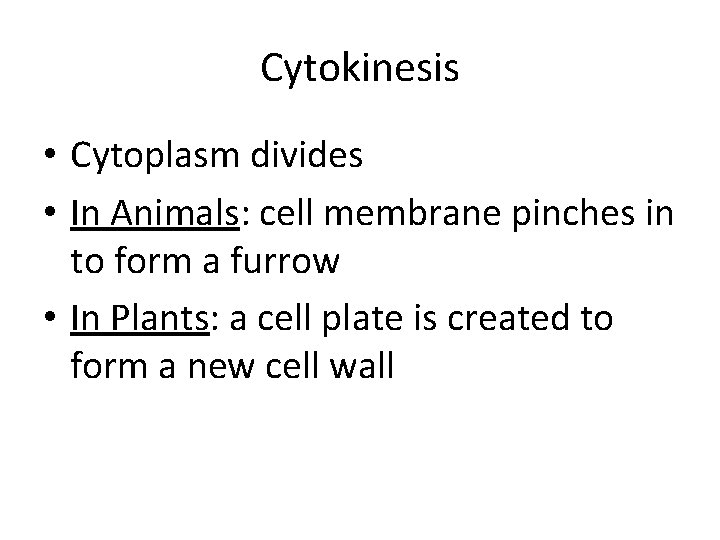 Cytokinesis • Cytoplasm divides • In Animals: cell membrane pinches in to form a