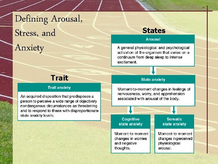 Defining Arousal, Stress, and Anxiety Trait States 