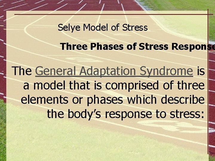 The Stress Process Selye Model of Stress Stage 1 Three Phases of Stress Response