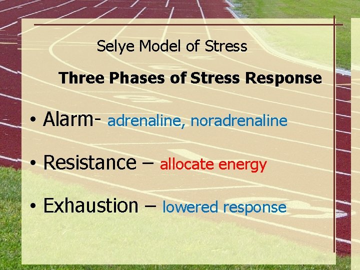 The Selye Model of Stress Process Three Phases of Stress Response Stage 1 Stage
