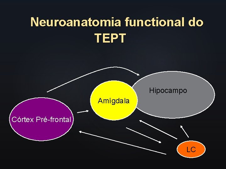 Neuroanatomia functional do TEPT Hipocampo Amígdala Córtex Pré-frontal LC 