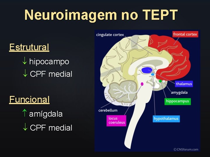 Neuroimagem no TEPT Estrutural hipocampo CPF medial Funcional amígdala CPF medial 