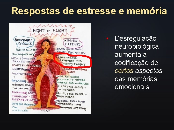 Respostas de estresse e memória • Desregulação neurobiológica aumenta a codificação de certos aspectos