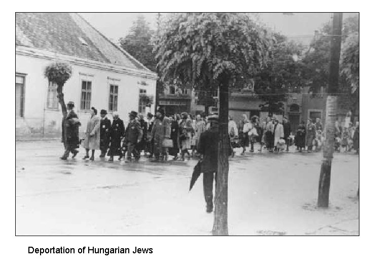 Deportation of Hungarian Jews 