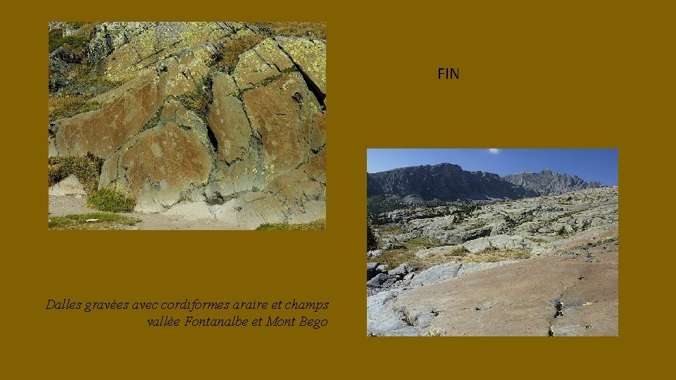 FIN Dalles gravées avec cordiformes araire et champs vallée Fontanalbe et Mont Bego 