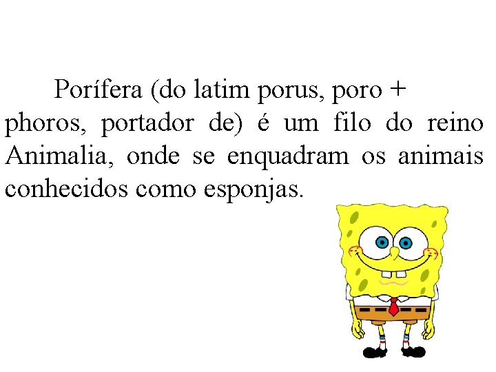 Porífera (do latim porus, poro + phoros, portador de) é um filo do reino Porífera (do latim porus, poro + phoros, portador de) é um filo do reino