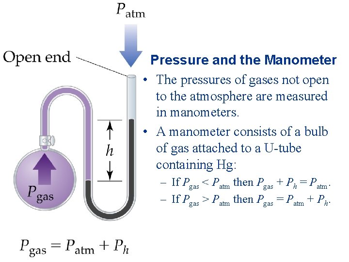 Pressure and the Manometer • The pressures of gases not open to the atmosphere