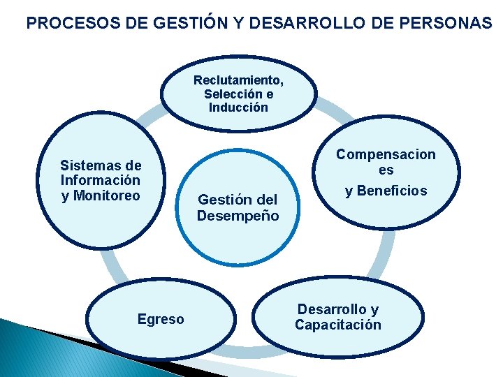 PROCESOS DE GESTIÓN Y DESARROLLO DE PERSONAS Reclutamiento, Selección e Inducción Sistemas de Información