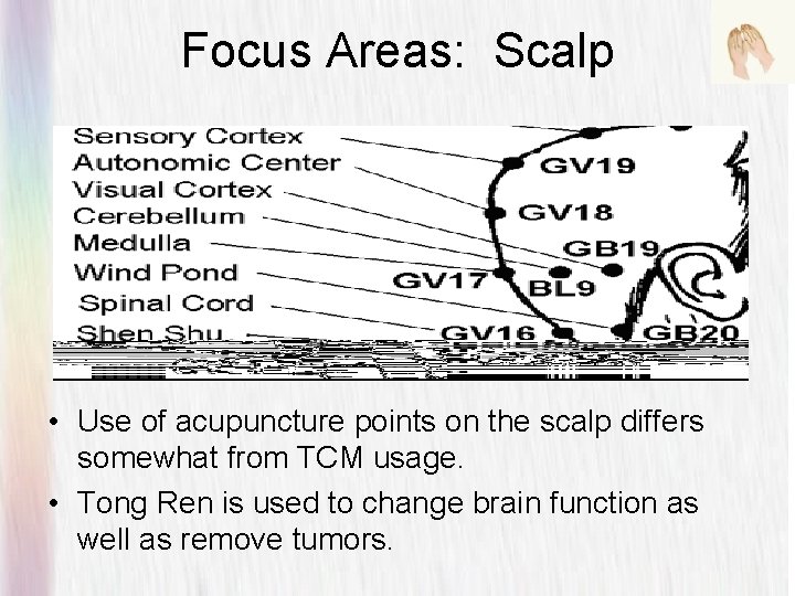 Focus Areas: Scalp • Use of acupuncture points on the scalp differs somewhat from