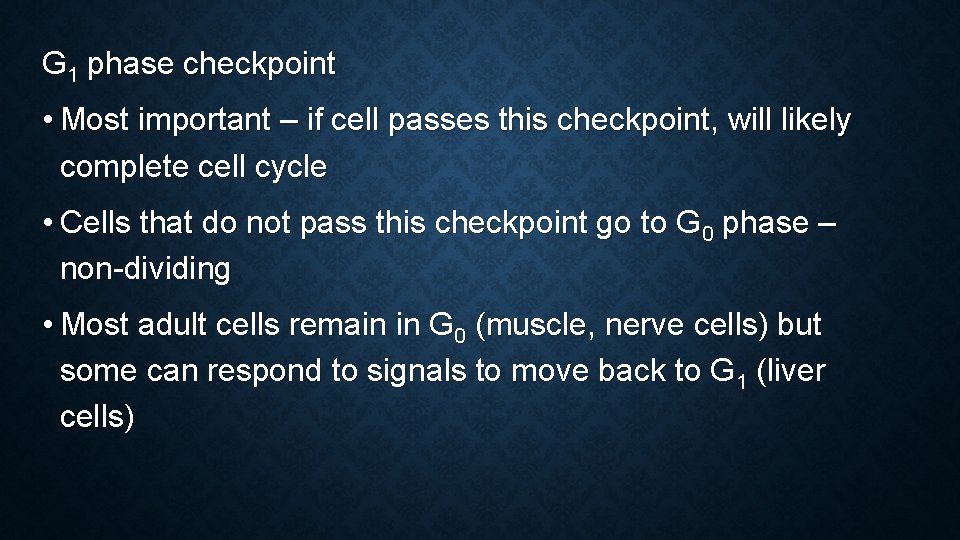 G 1 phase checkpoint • Most important – if cell passes this checkpoint, will