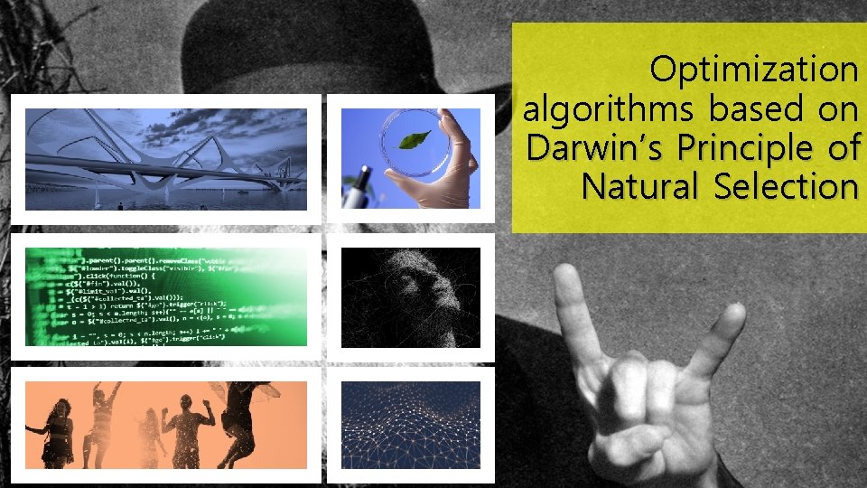 Optimization algorithms based on Darwin’s Principle of Natural Selection 
