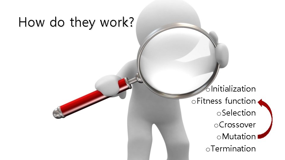How do they work? o Initialization o Fitness function o Selection o Crossover o