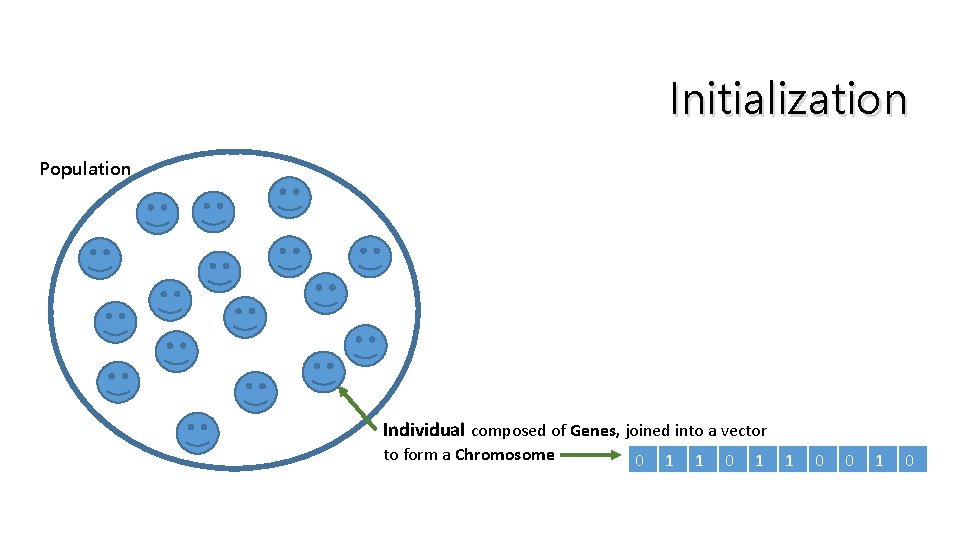 Initialization Population Individual composed of Genes, joined into a vector to form a Chromosome