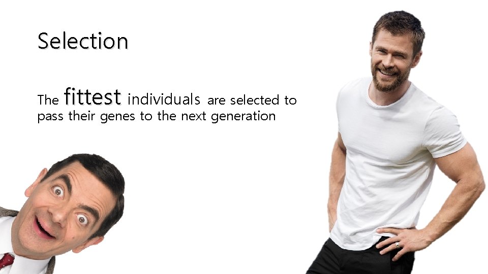 Selection fittest The individuals are selected to pass their genes to the next generation