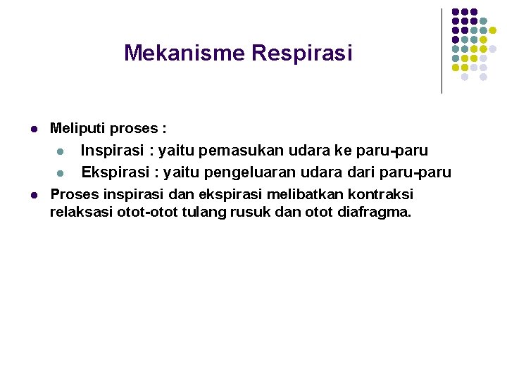 Mekanisme Respirasi l Meliputi proses : l Inspirasi : yaitu pemasukan udara ke paru-paru