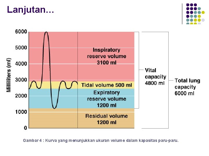 Lanjutan… Gambar 4 : Kurva yang menunjukkan ukuran volume dalam kapasitas paru-paru. 