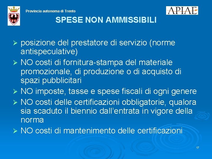 Provincia autonoma di Trento SPESE NON AMMISSIBILI posizione del prestatore di servizio (norme antispeculative)