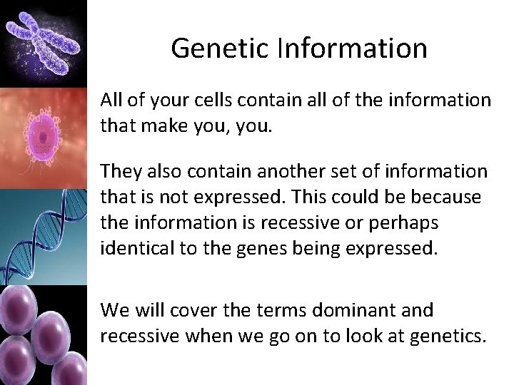 Genetic Information All of your cells contain all of the information that make you,