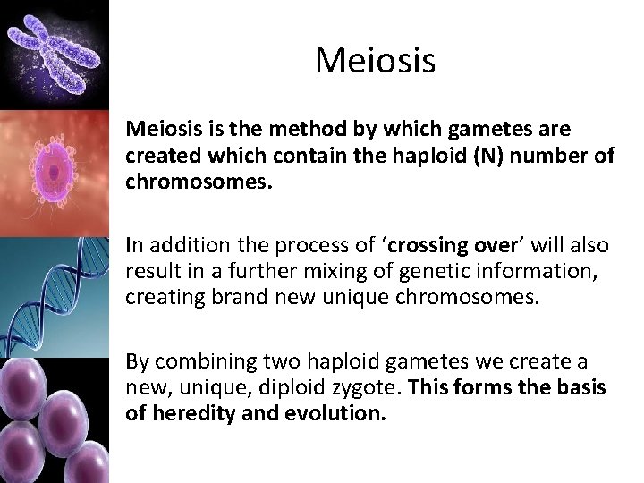 Meiosis is the method by which gametes are created which contain the haploid (N)