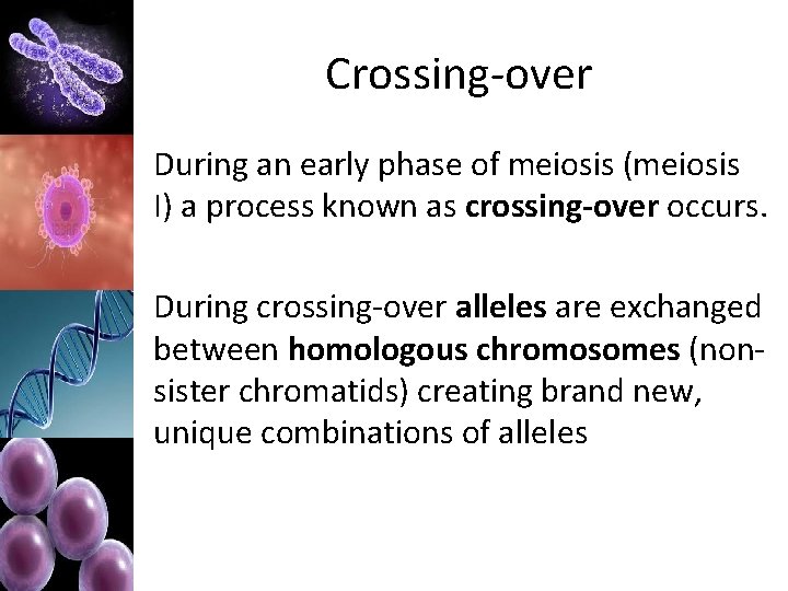 Crossing-over During an early phase of meiosis (meiosis I) a process known as crossing-over