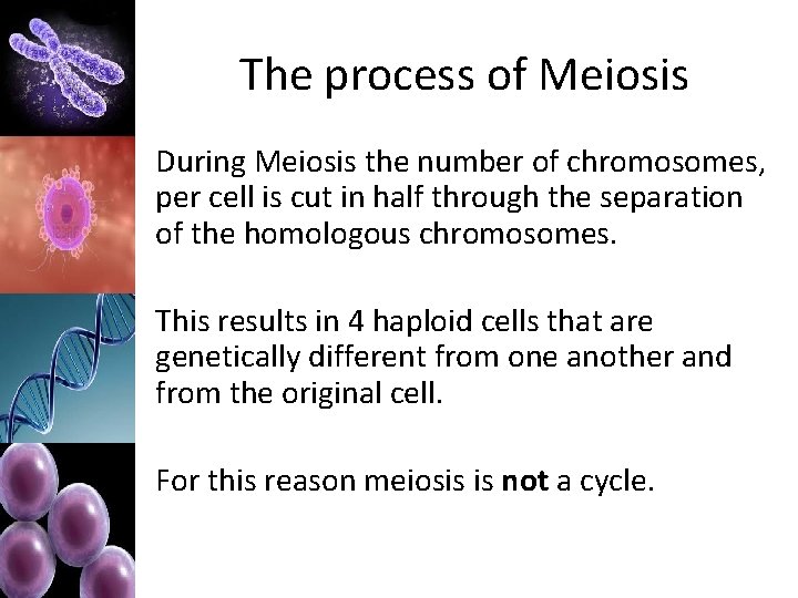 The process of Meiosis During Meiosis the number of chromosomes, per cell is cut
