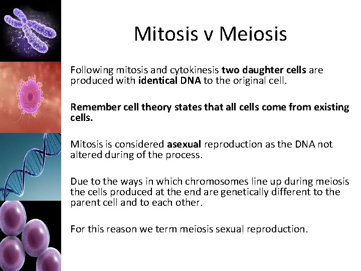 Mitosis v Meiosis Following mitosis and cytokinesis two daughter cells are produced with identical