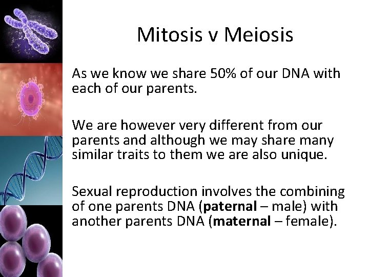 Mitosis v Meiosis As we know we share 50% of our DNA with each