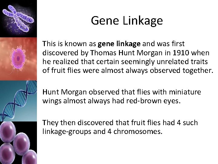 Gene Linkage This is known as gene linkage and was first discovered by Thomas