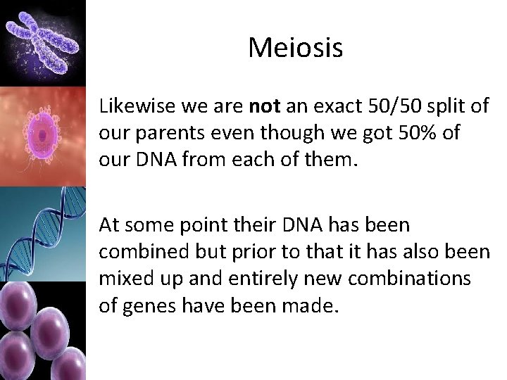 Meiosis Likewise we are not an exact 50/50 split of our parents even though
