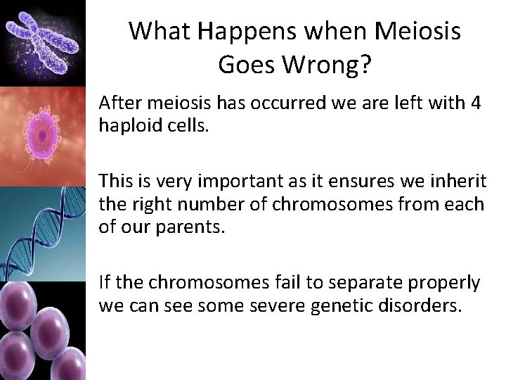 What Happens when Meiosis Goes Wrong? After meiosis has occurred we are left with