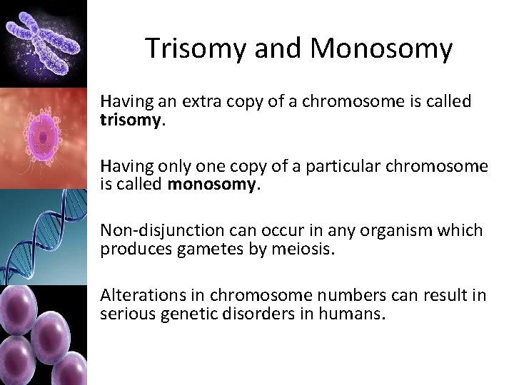 Trisomy and Monosomy Having an extra copy of a chromosome is called trisomy. Having