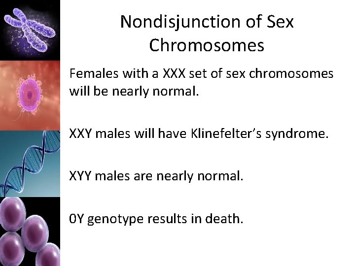 Nondisjunction of Sex Chromosomes Females with a XXX set of sex chromosomes will be