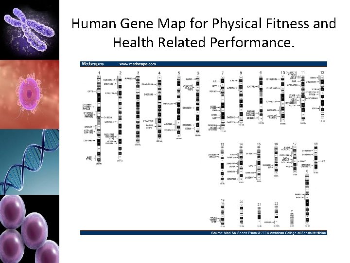 Human Gene Map for Physical Fitness and Health Related Performance. 