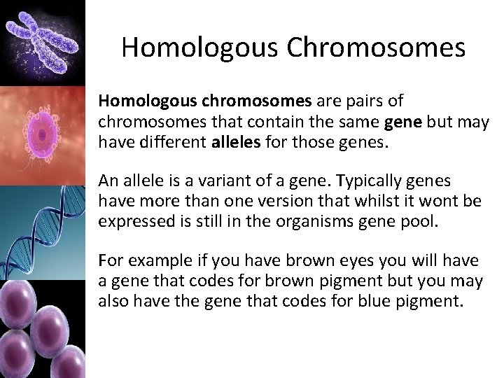 Homologous Chromosomes Homologous chromosomes are pairs of chromosomes that contain the same gene but